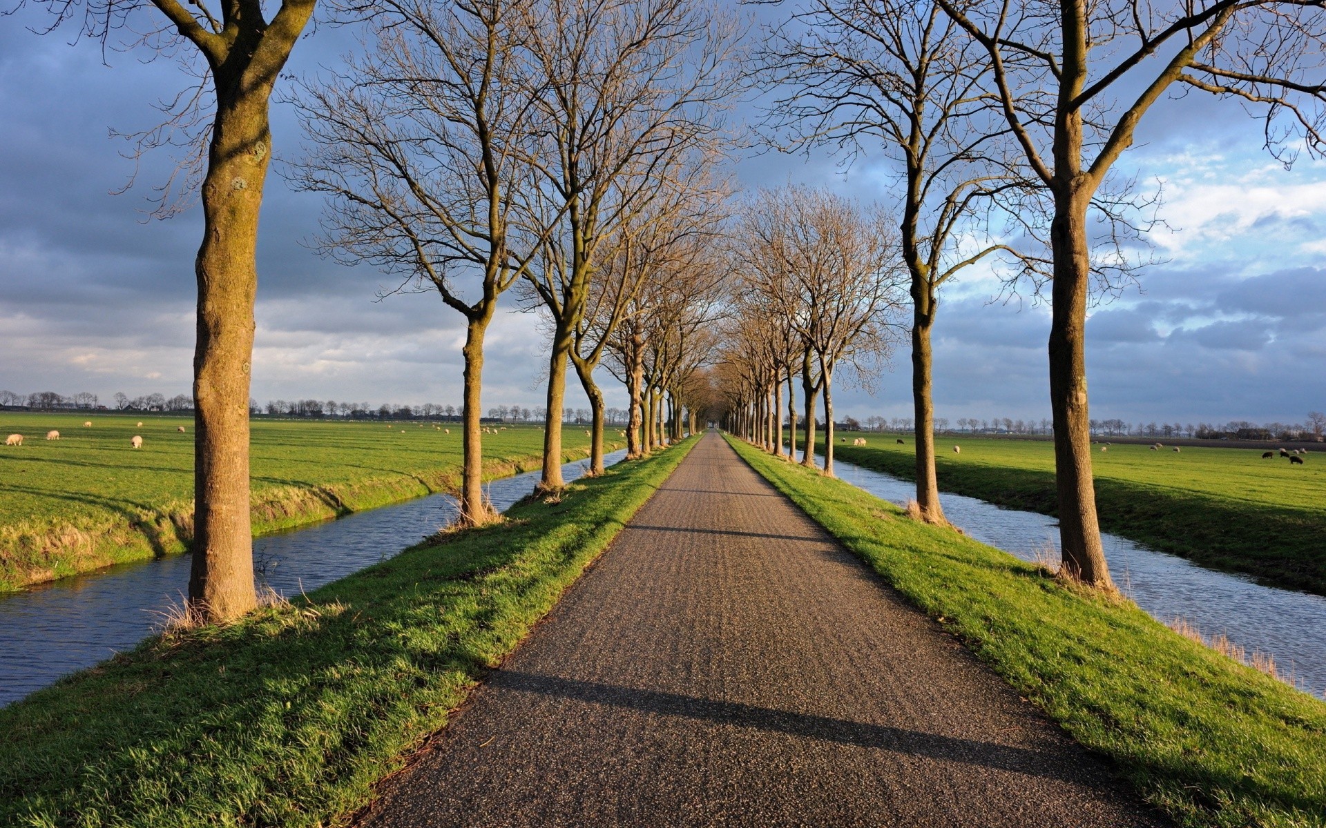 landscapes tree landscape grass outdoors nature guidance sky scenic road park wood rural countryside fair weather dawn