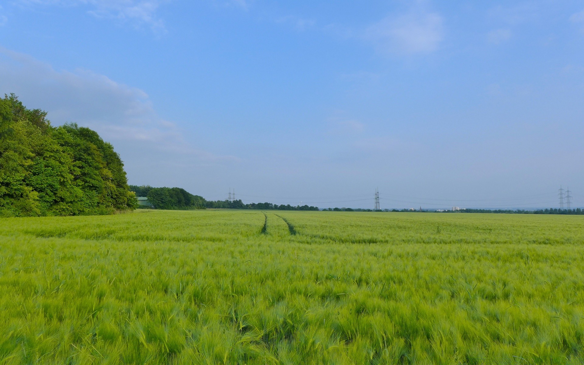 krajobrazy krajobraz rolnictwo pole wiejskie gospodarstwo wiejskie przyroda lato pastwisko trawa wzrost niebo na zewnątrz środowisko żniwa grunty uprawne flora płatki sianokosy