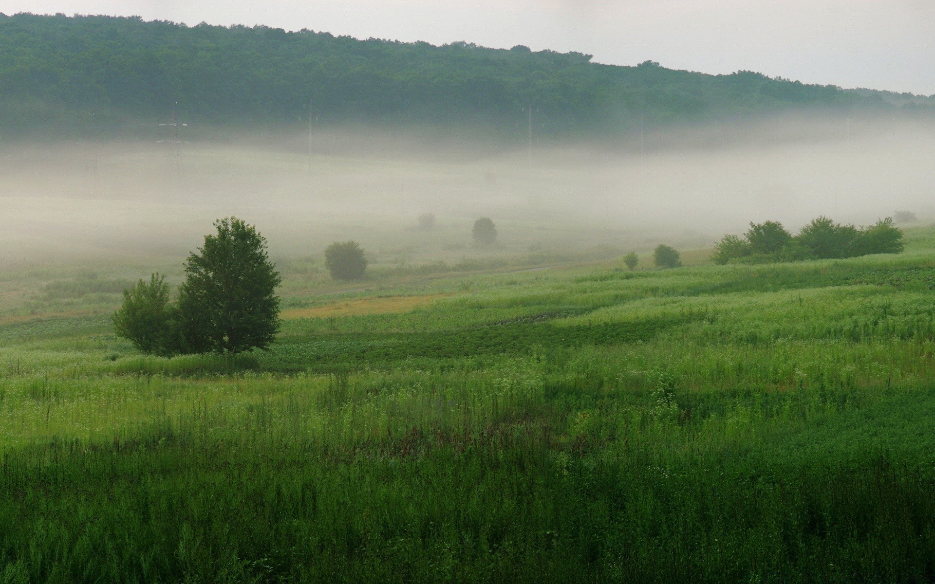 landschaft landschaft baum bebautes land landwirtschaft natur feld gras heuhaufen landschaft bauernhof himmel nebel dämmerung umwelt des ländlichen im freien weide weide sommer