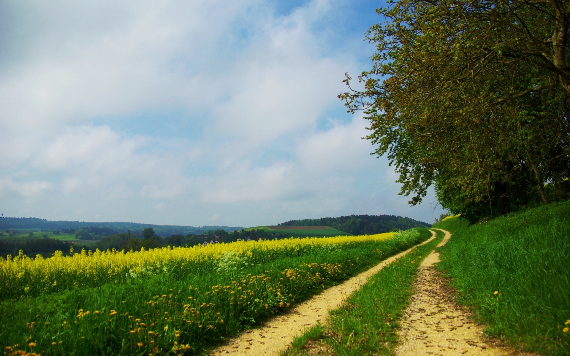 paisagens paisagem natureza ao ar livre rural campo árvore grama verão agricultura céu país crescimento terra cultivada bom tempo folha estrada