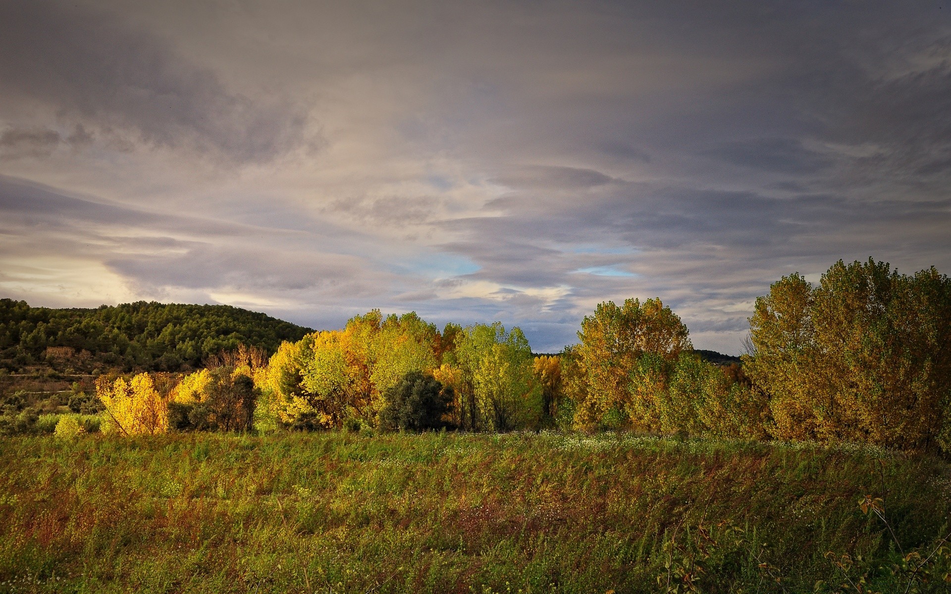 landschaft landschaft himmel baum sonnenuntergang herbst im freien natur gras morgendämmerung landschaft reisen abend