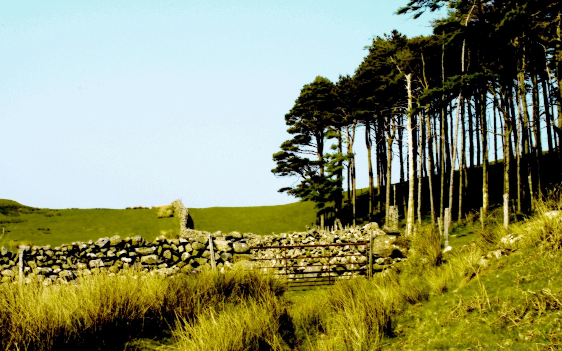 paysage à l extérieur paysage ciel nature voyage arbre herbe terres cultivées scénique