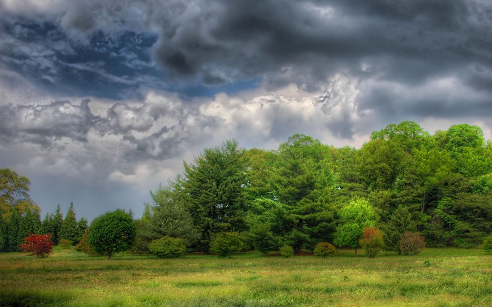 paesaggio paesaggio natura albero rurale cielo campagna estate legno erba all aperto campo nuvola bel tempo scenico nuvoloso sole luminoso