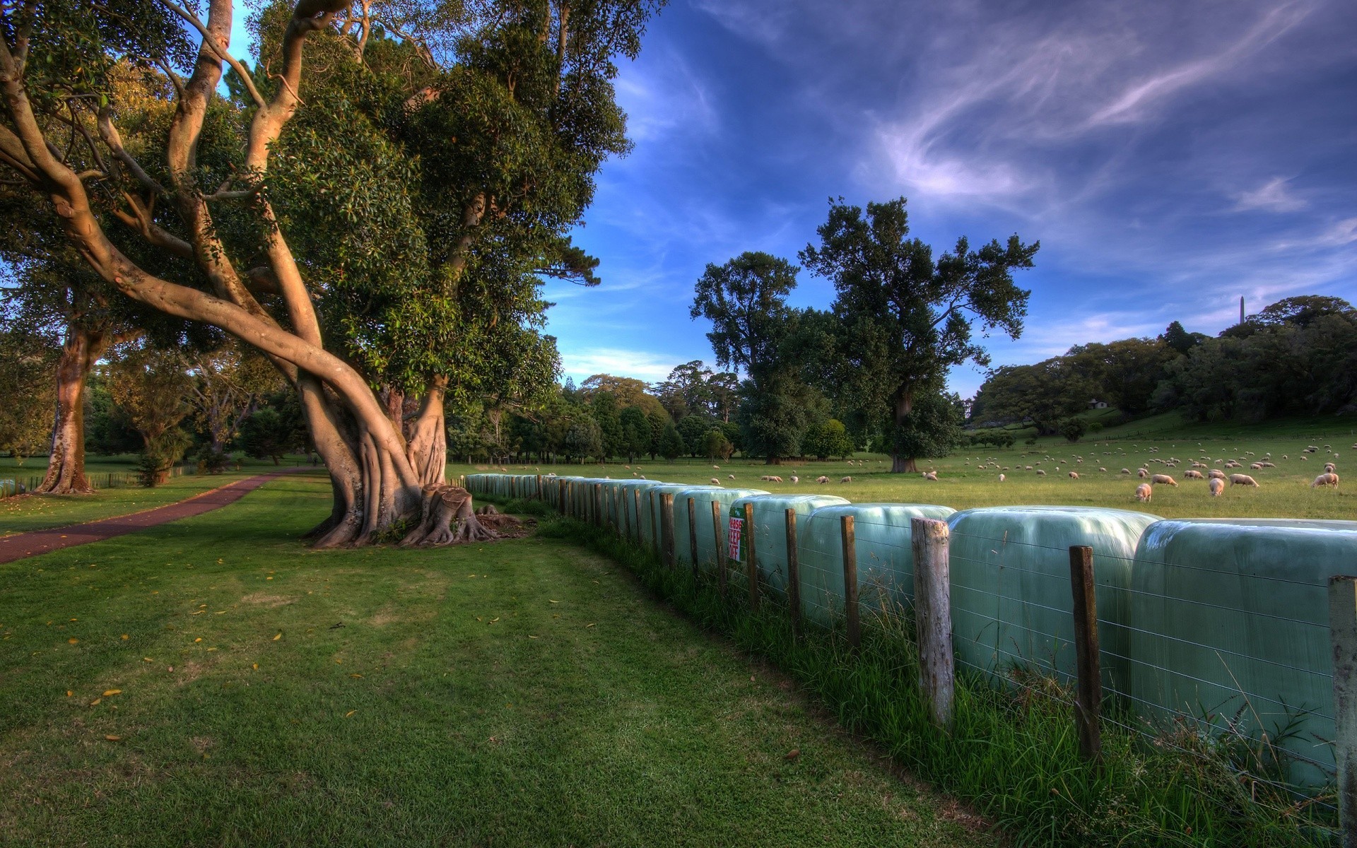 landschaft baum landschaft gras im freien wasser park natur reisen himmel holz sommer rasen