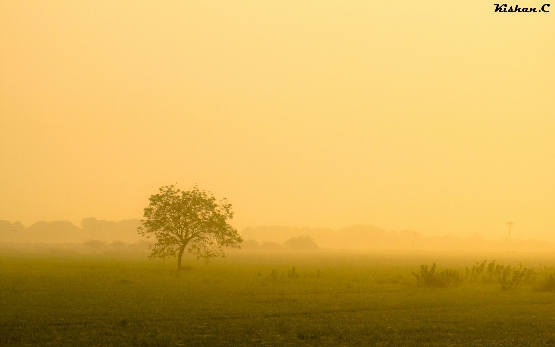 landscapes fog nature dawn landscape sunset outdoors sun mist grass fair weather sky tree fall countryside field summer rural evening