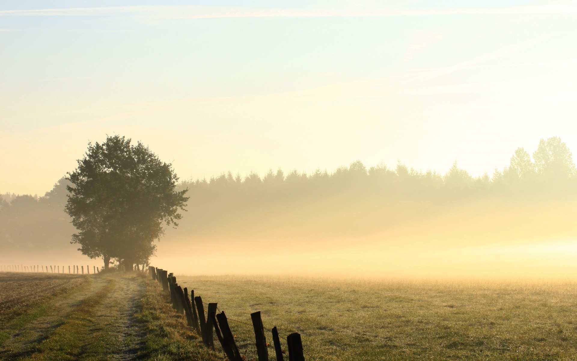 paesaggio tramonto alba paesaggio sole cielo nebbia natura all aperto nebbia sera crepuscolo bel tempo acqua campagna estate albero erba