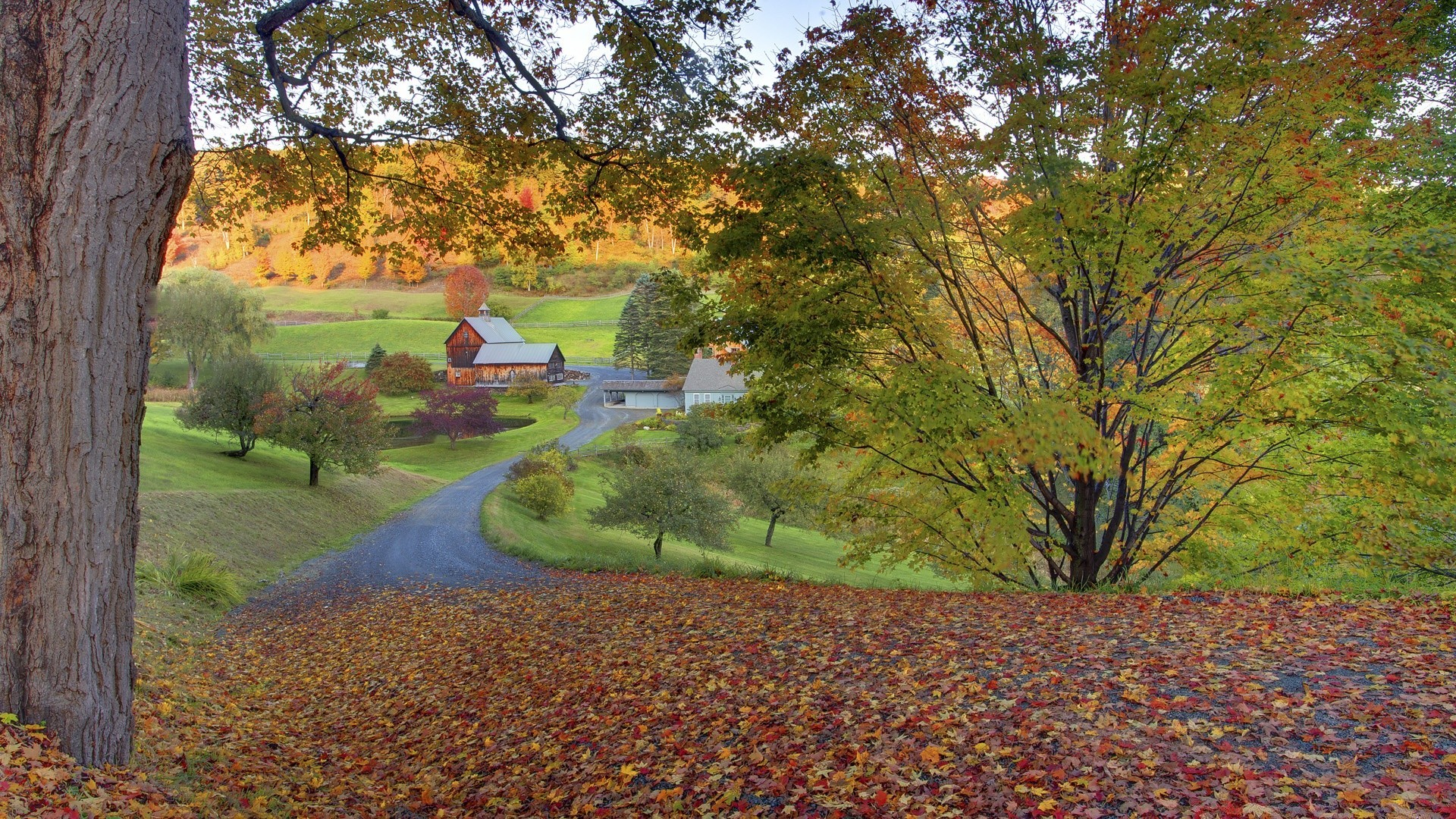 landschaft baum herbst blatt landschaft park holz im freien landschaftlich natur saison umwelt straße tageslicht ahorn handbuch