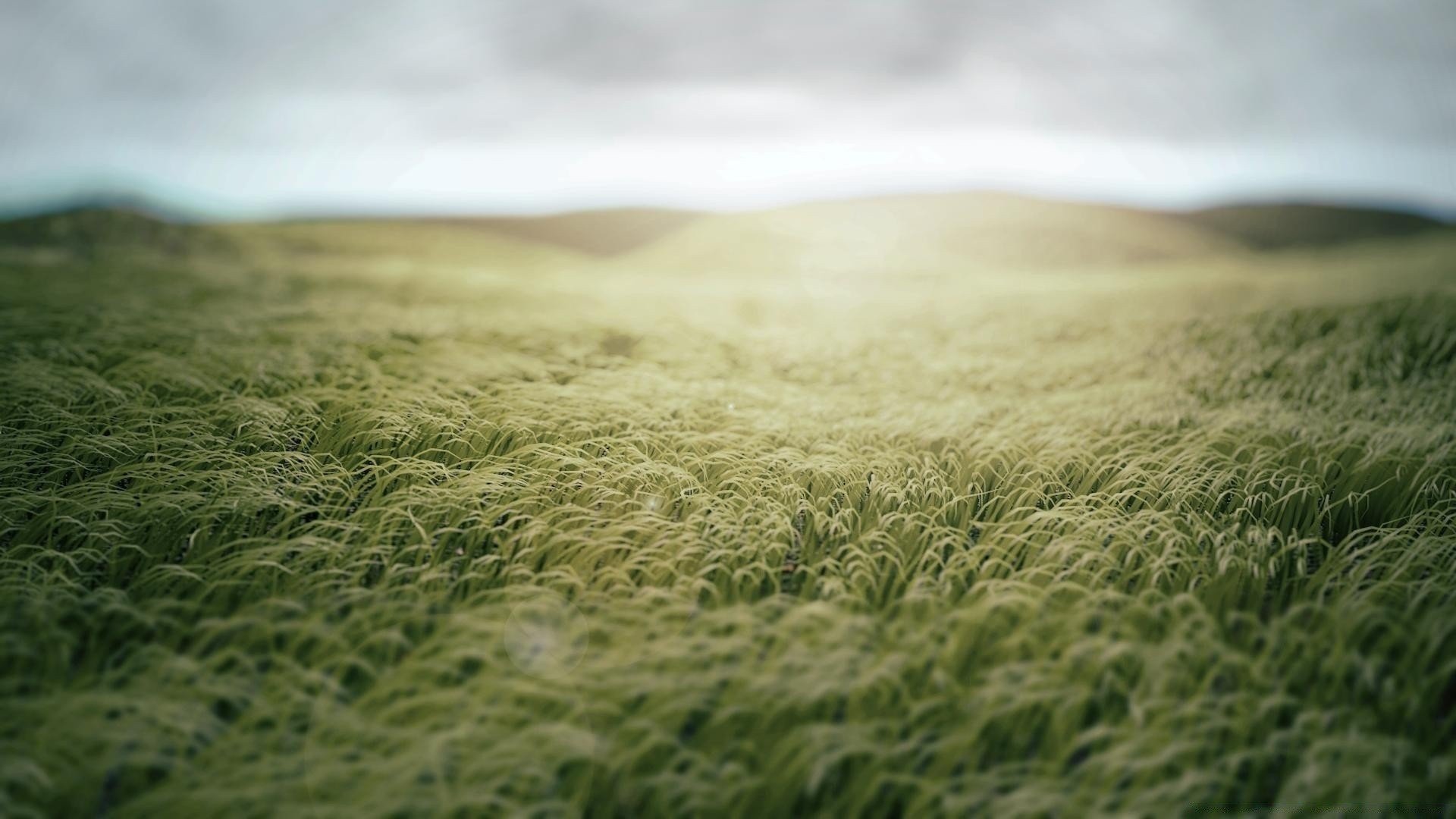 landschaft feld gras natur sommer weizen landschaft sonne bauernhof ländlichen gutes wetter flocken heuhaufen wachstum desktop boden weide sonnenuntergang dämmerung gold