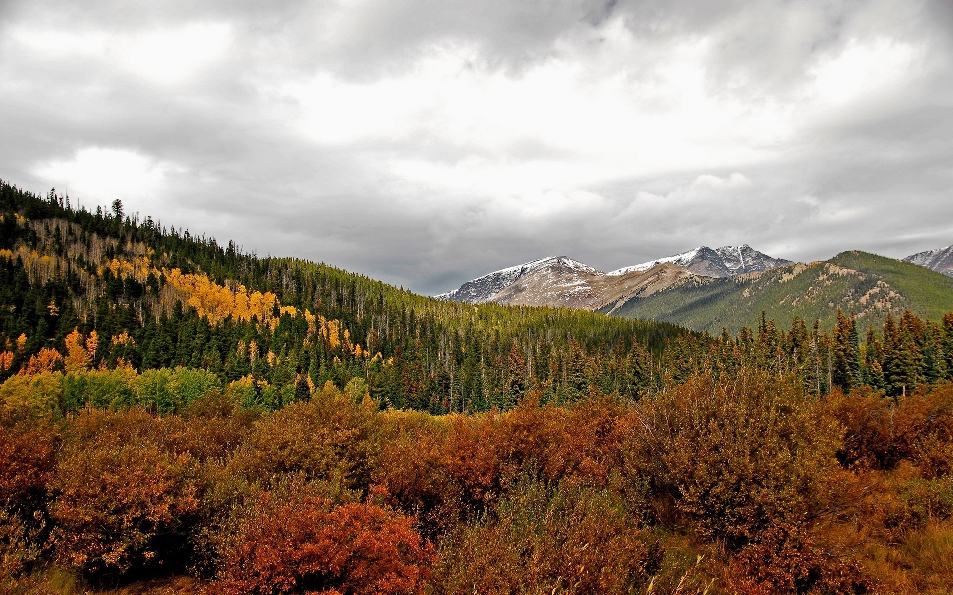 paesaggio autunno legno paesaggio all aperto albero natura foglia viaggi montagna scenic neve conifere cielo