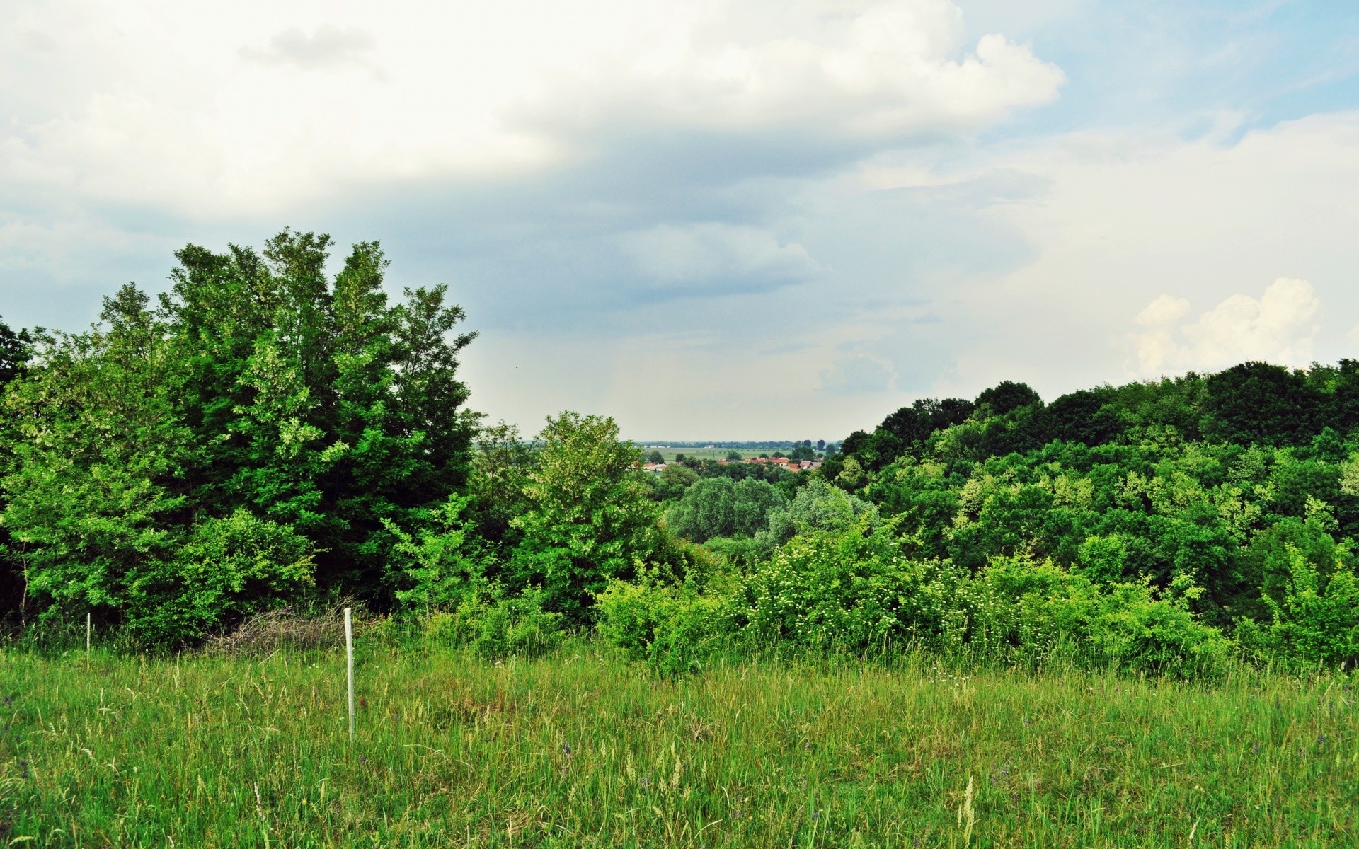 paesaggio paesaggio natura albero agricoltura flora ambiente estate rurale campo all aperto legno campagna foglia erba crescita scenico fattoria cielo scena