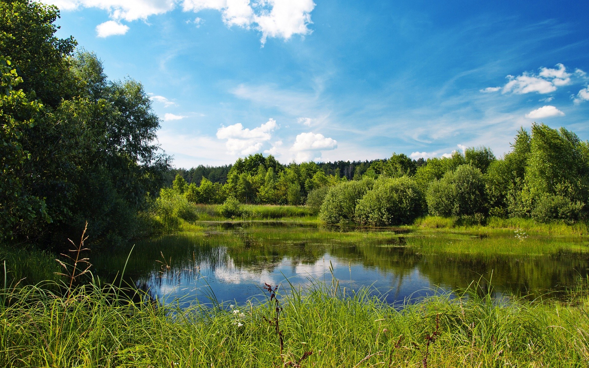 krajobrazy natura krajobraz jezioro woda trawa odbicie na zewnątrz drzewo lato rzeka niebo drewno basen idylla malownicze wiejskie spokój dobra pogoda środowisko