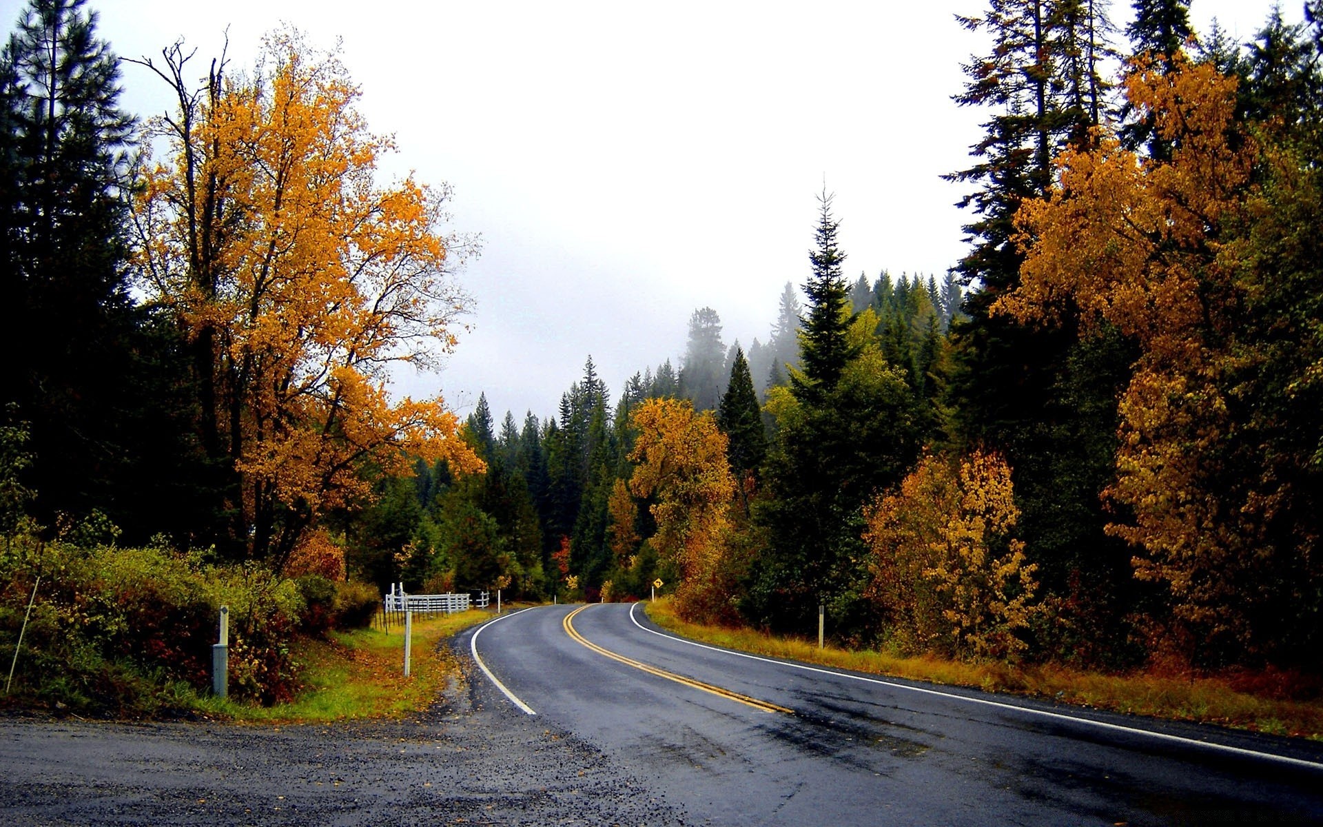 landscapes road fall tree wood leaf landscape outdoors guidance nature scenic rural countryside asphalt park lane travel highway season