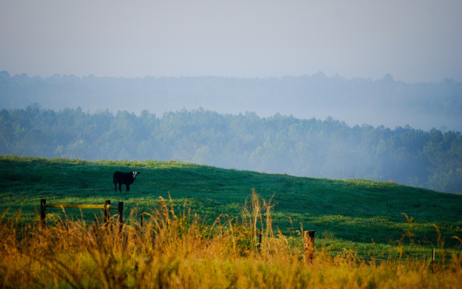 landscapes landscape tree cropland agriculture outdoors sky scenic daylight nature travel field fall hill grassland farm grass fog wood dawn