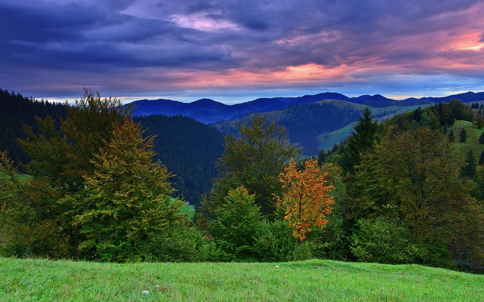 paesaggio paesaggio albero legno autunno natura montagna all aperto scenico cielo alba viaggi parco bel tempo foglia luce del giorno nebbia estate paesaggio