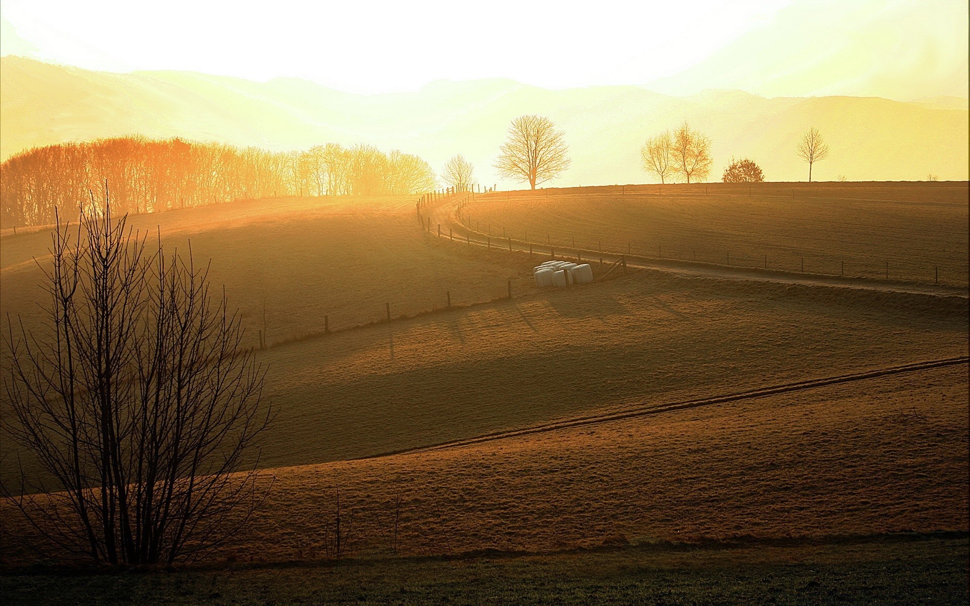 landscapes landscape sunset dawn fog winter evening tree fall nature sky mist light sun snow outdoors travel dusk weather fair weather