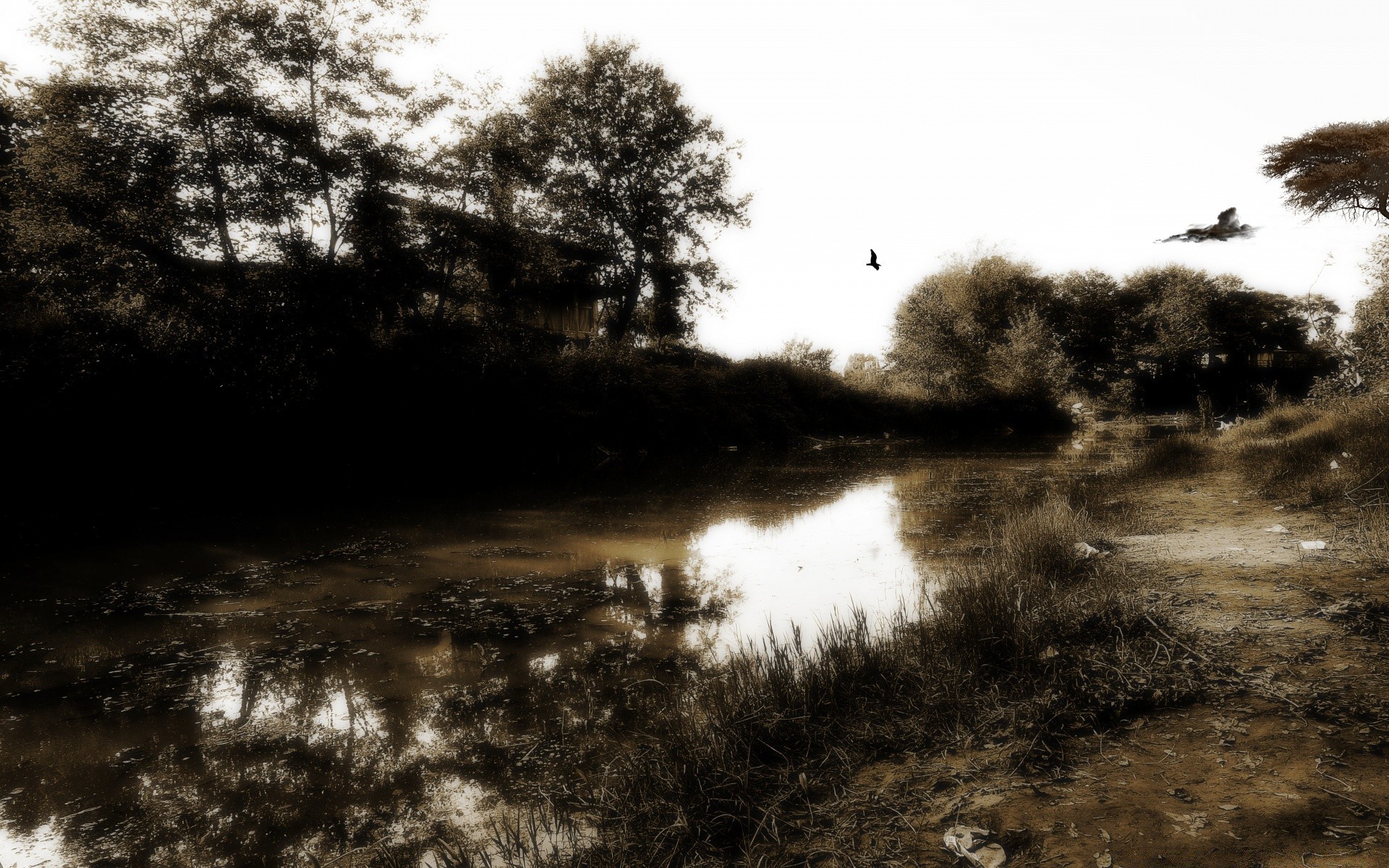 landscapes landscape water tree reflection river nature lake light weather fog outdoors environment fall beach