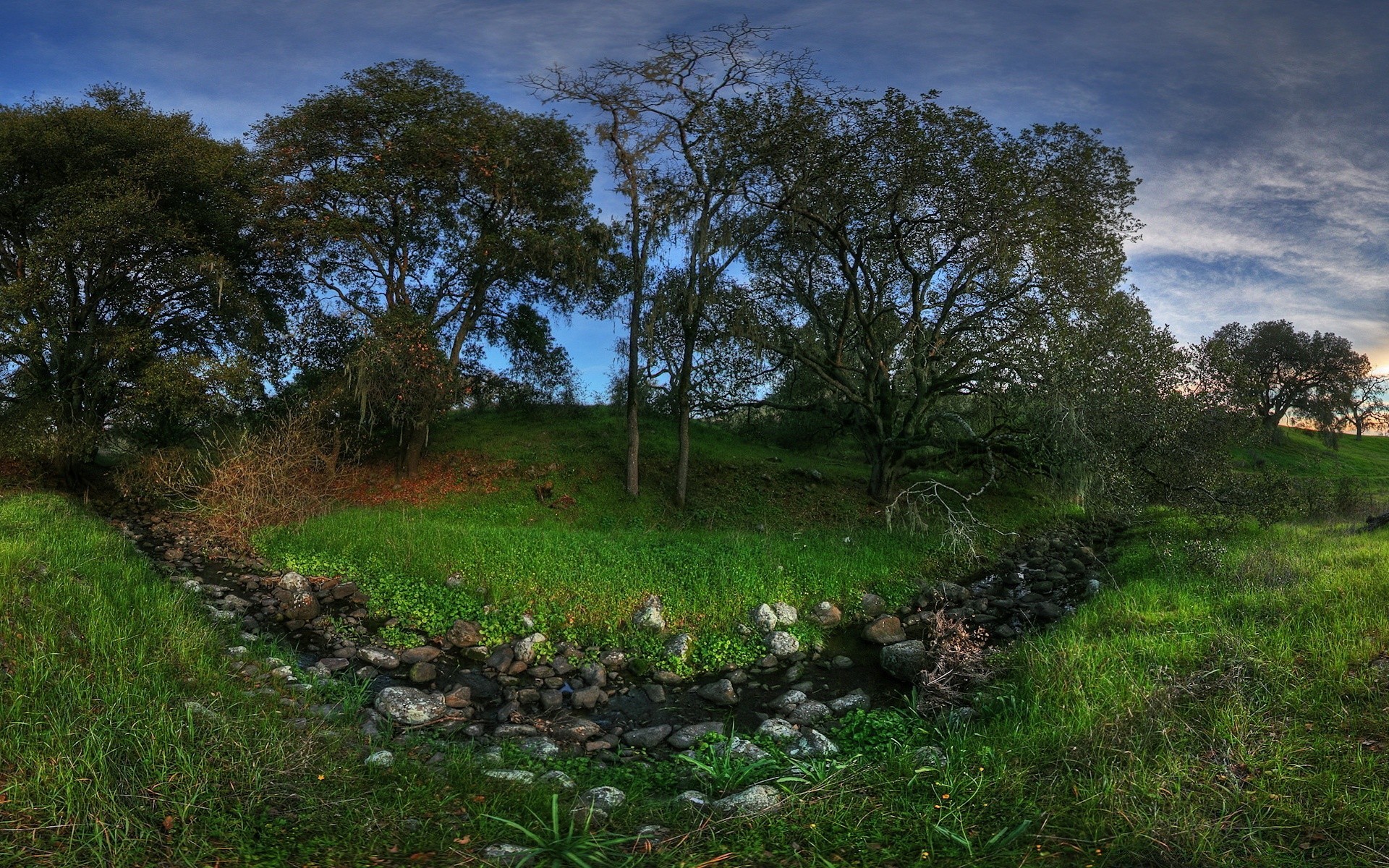 paesaggio paesaggio albero natura erba legno fieno ambiente cielo rurale suolo all aperto foglia campagna campo scenic estate flora parco guida