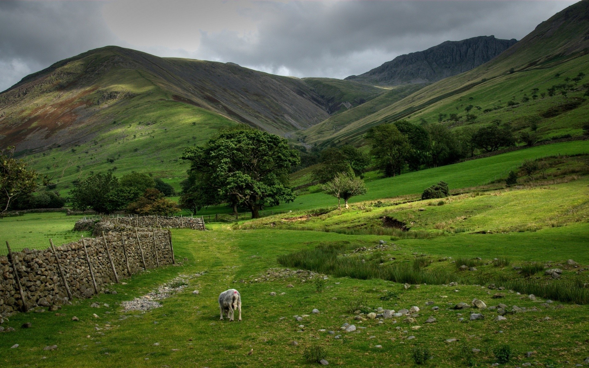 landscapes landscape mountain travel nature outdoors grass valley sheep hill countryside sky pasture summer