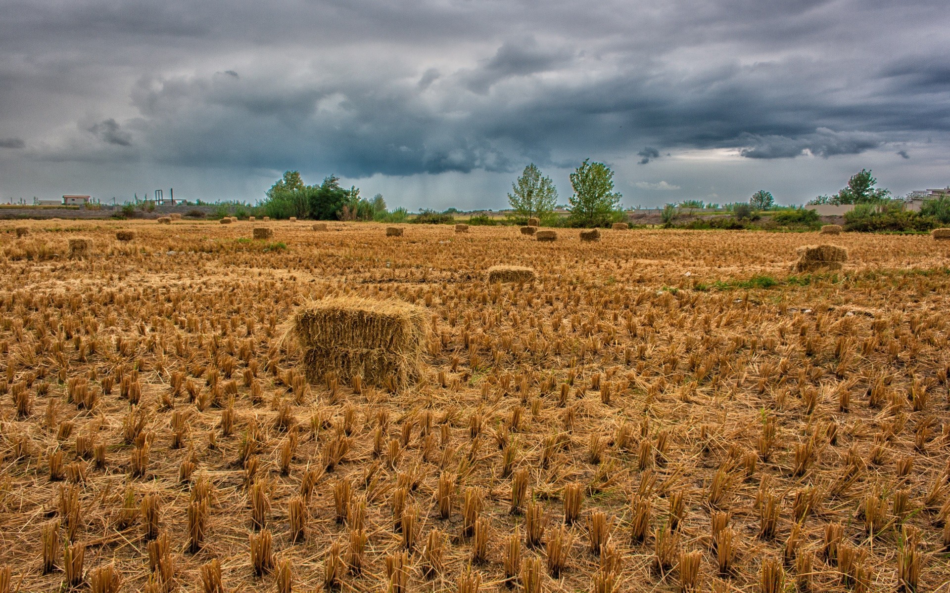 paysage agriculture ferme pâturage rural récolte nature blé campagne champ extérieur paille flocons paysage terres cultivées sec sol ciel terres agricoles or