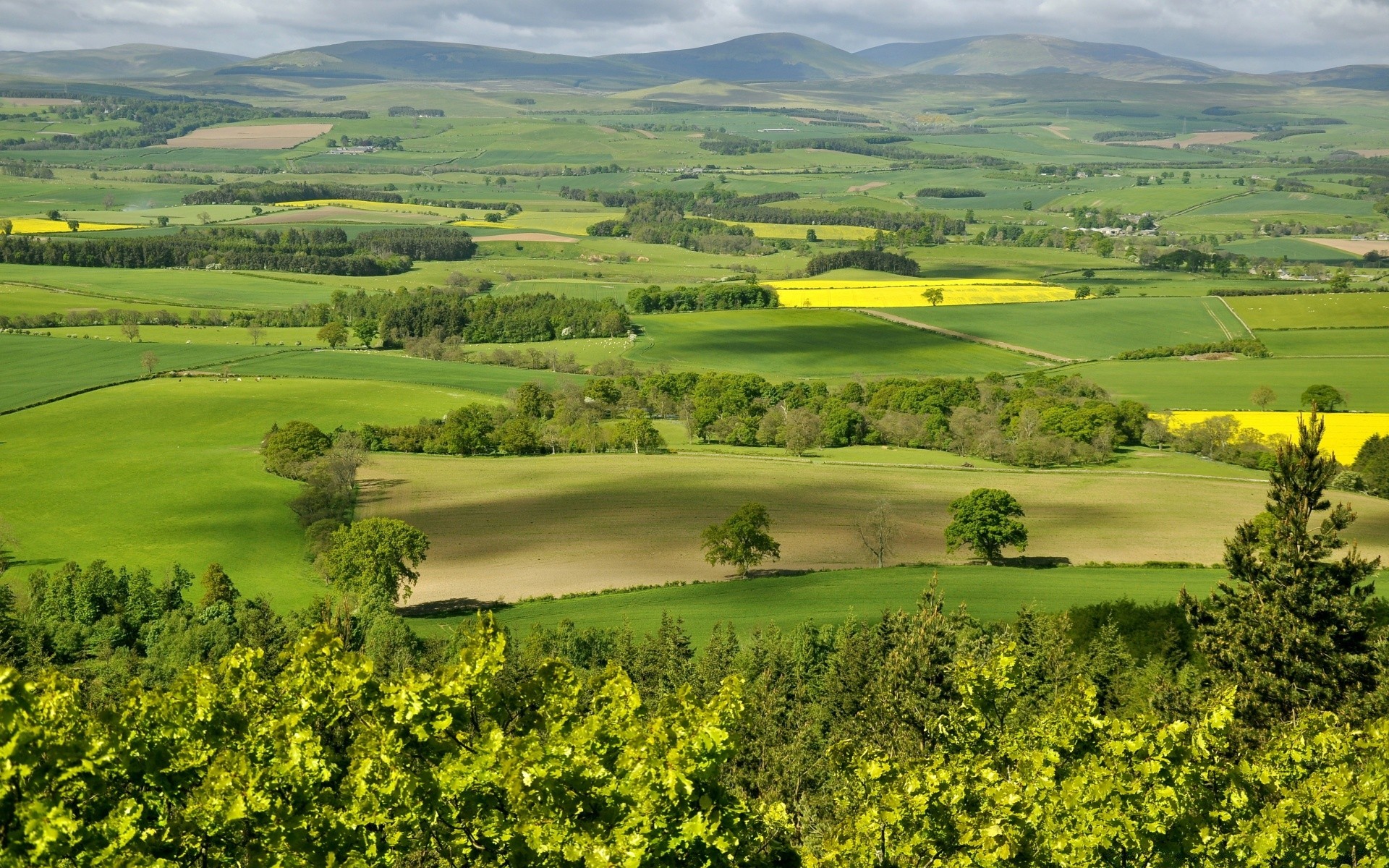 landscapes landscape agriculture countryside hill cropland field farm scenic nature outdoors rural farmhouse tree hayfield crop pastoral sky cypress valley