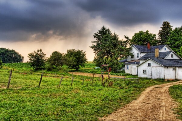 Maison de village près du champ vert