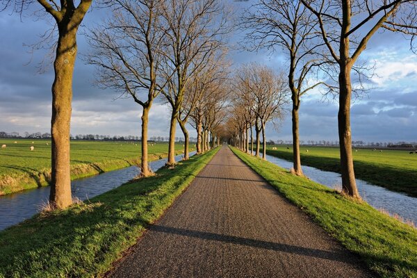 Trees, a stream and a field where animals graze