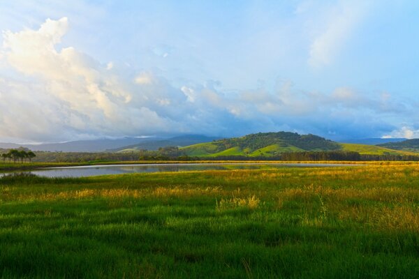 Paisaje llano de prados autonivelantes