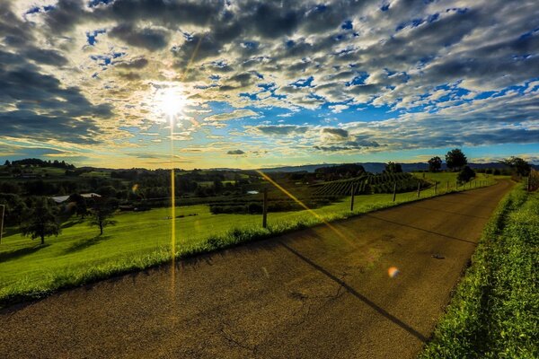 Dirt road in the middle of a meadow