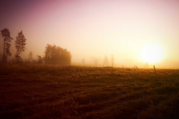 Belle photo de l aube brouillard tôt le matin