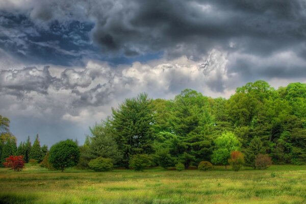 The green landscape of the forest against the background of gloomy clouds