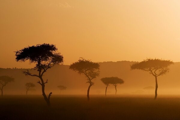 Beautiful dawn of the morning mountains