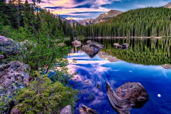 La foresta si riflette nel lago di montagna