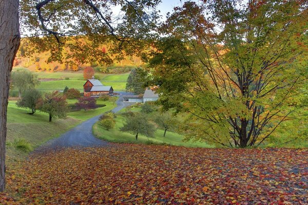 La chute des feuilles est venue dans la ville d automne