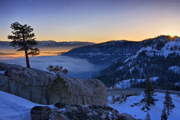 Winter dawn in snowy winter