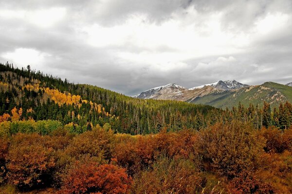 Mountains and grass, trees, panorama