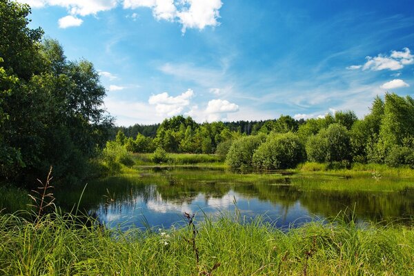 Natura staw piękne niebo