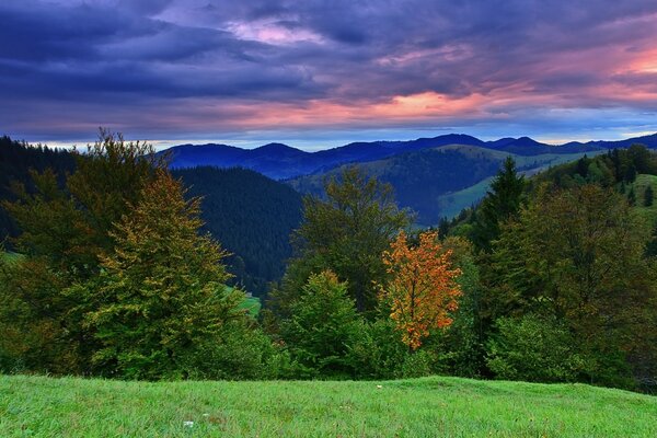 Herbstlandschaft von Waldbäumen