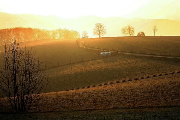 Schönes Feld im Morgennebel