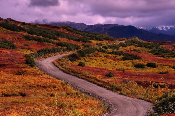 A long road leading to the mountains