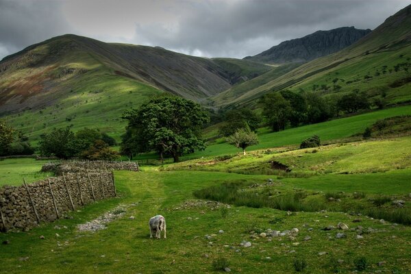 Green fields at the foot of the mountains