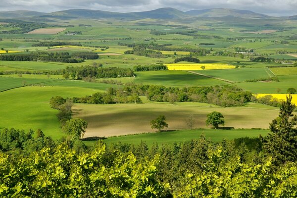 Grüne Landschaft der Landschaft