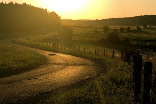 Foto del amanecer camino sinuoso hierba primeros rayos del sol