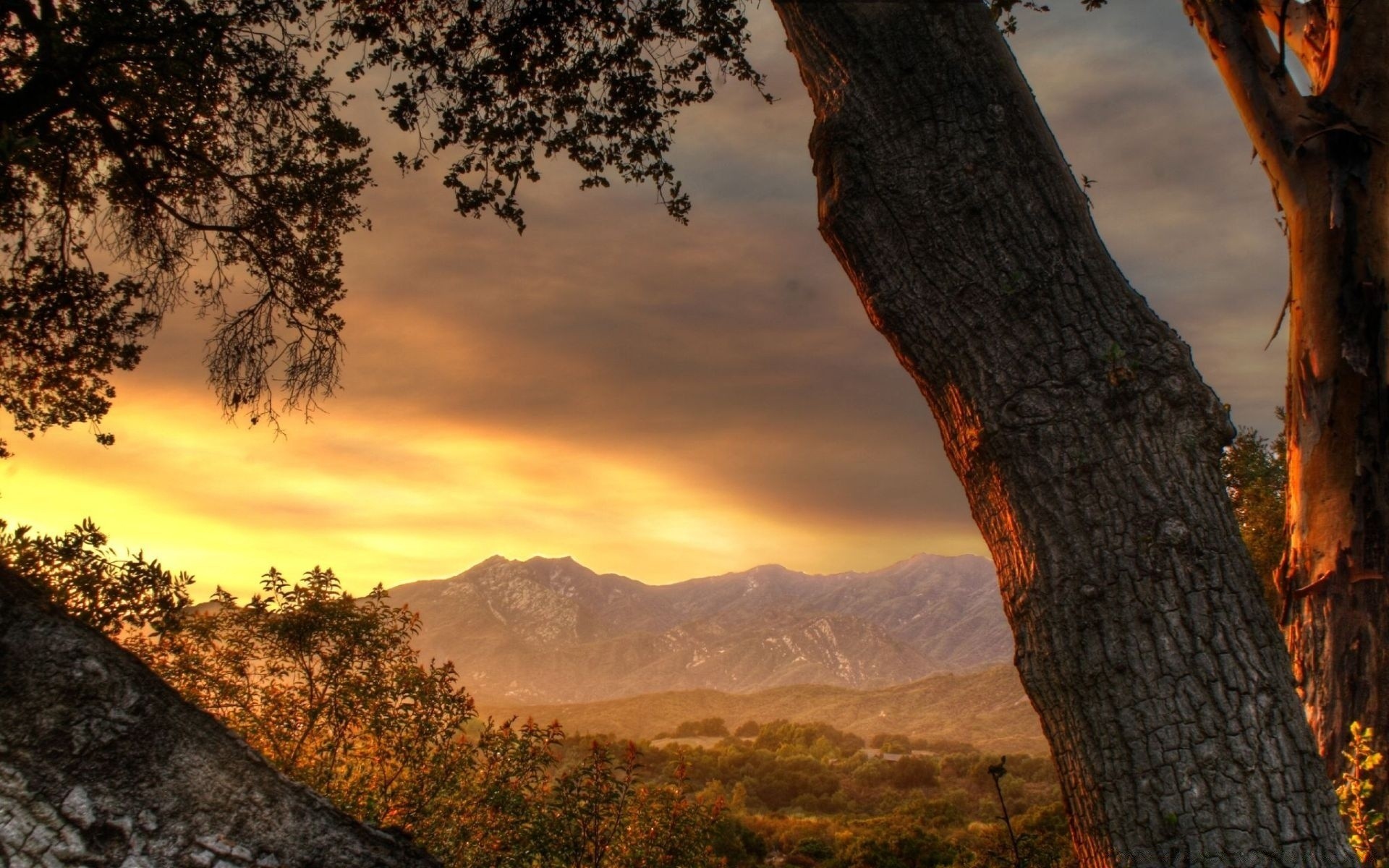 landschaft baum landschaft natur himmel sonnenuntergang berge im freien holz herbst morgendämmerung reisen landschaftlich