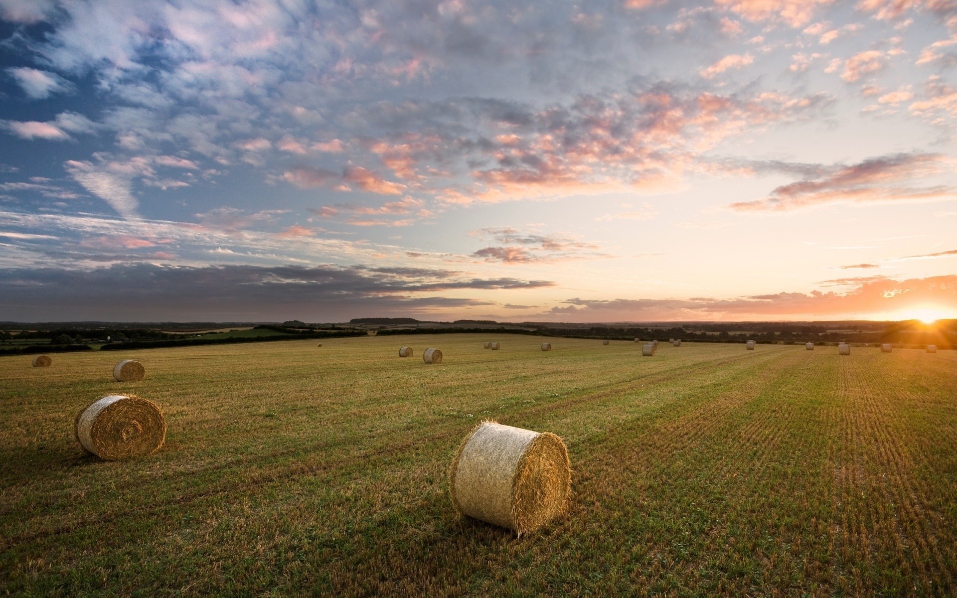 paesaggio paesaggio campo agricoltura cielo erba fattoria rurale fieno tramonto campagna sole fieno bale natura grano all aperto pascolo terra coltivata alba