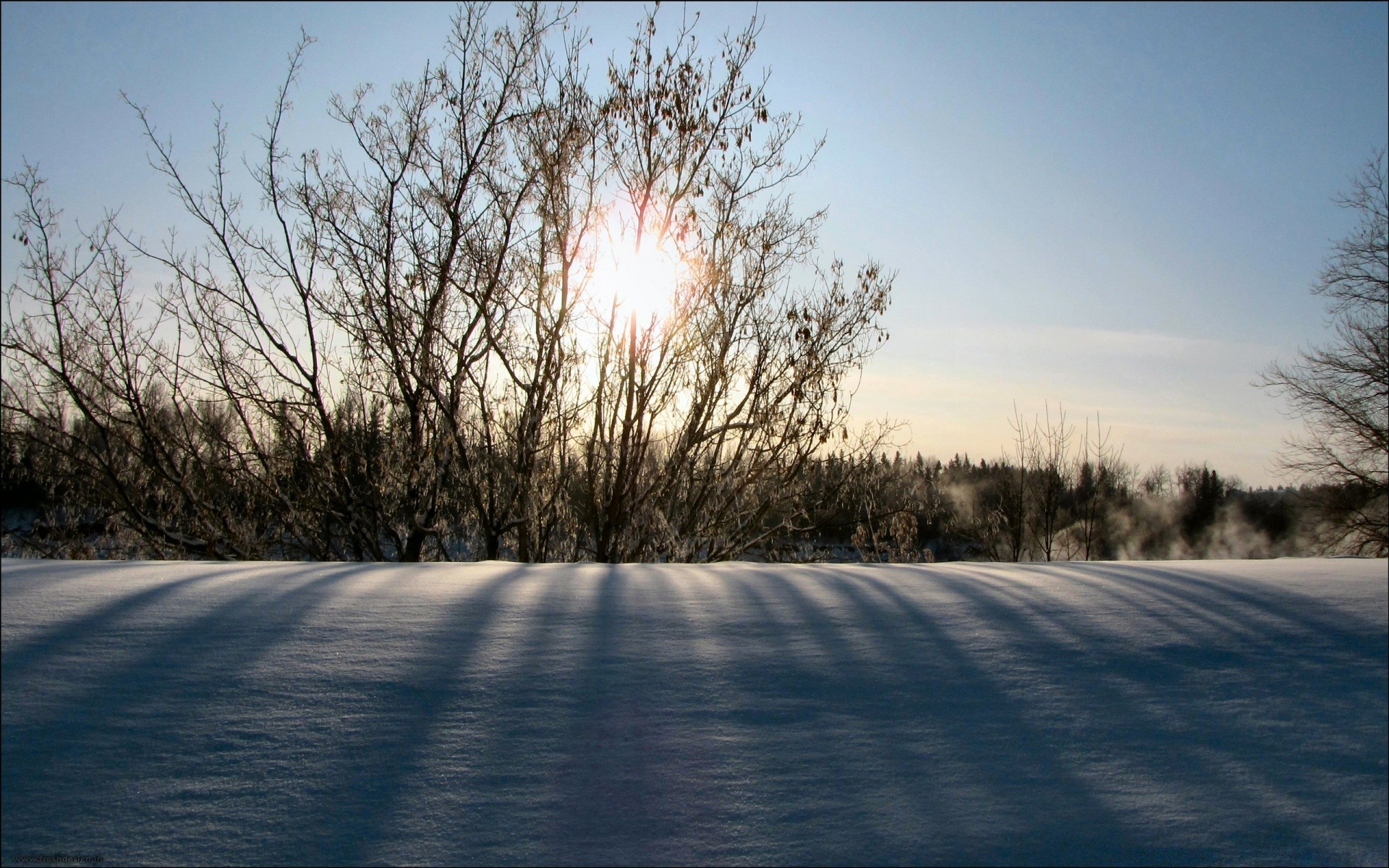 paisaje invierno nieve paisaje árbol tiempo frío congelado escarcha carretera naturaleza amanecer hielo temporada madera luz buen tiempo niebla sol tormenta de nieve