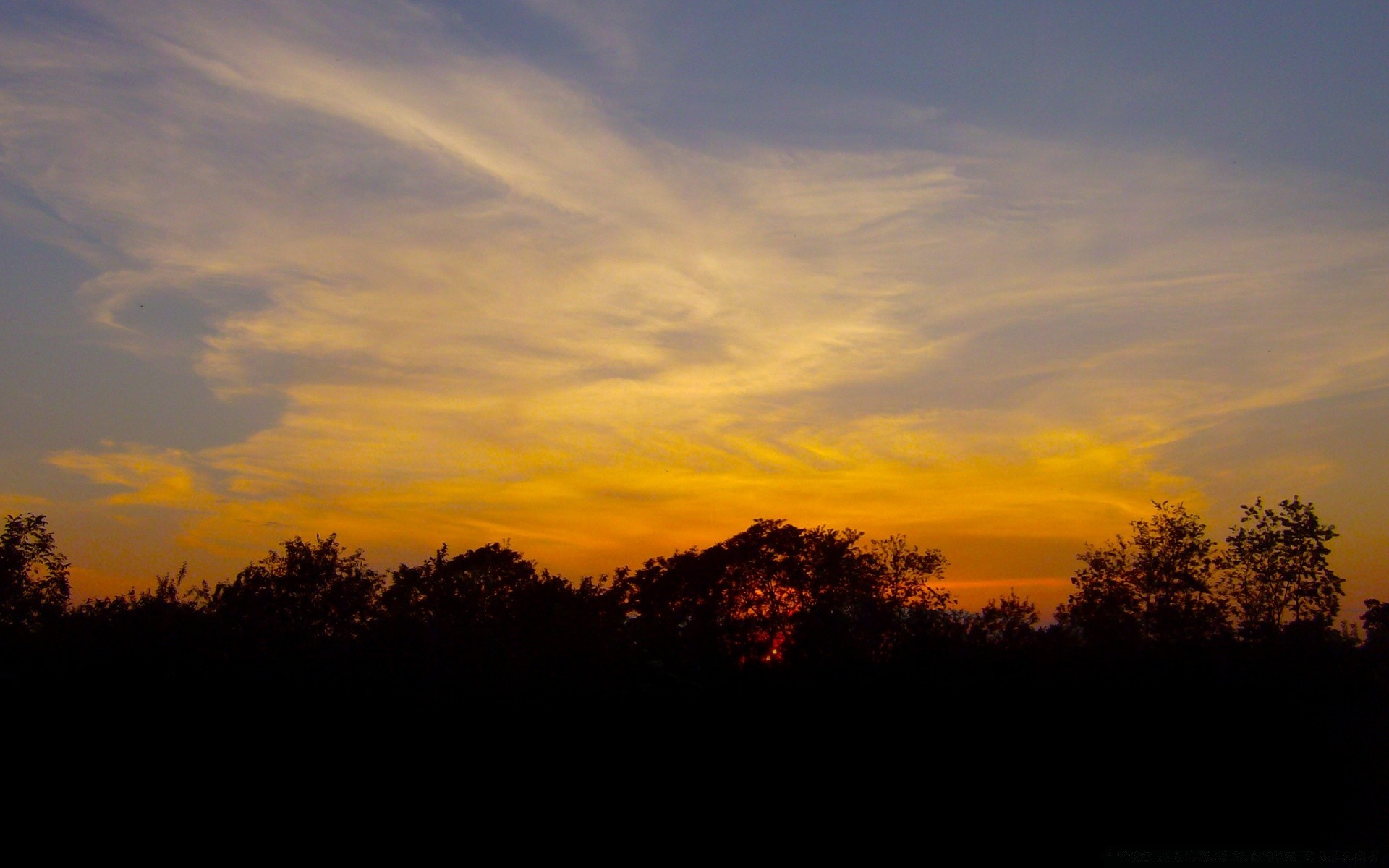 paesaggio tramonto alba sole sera cielo paesaggio crepuscolo illuminato natura silhouette albero