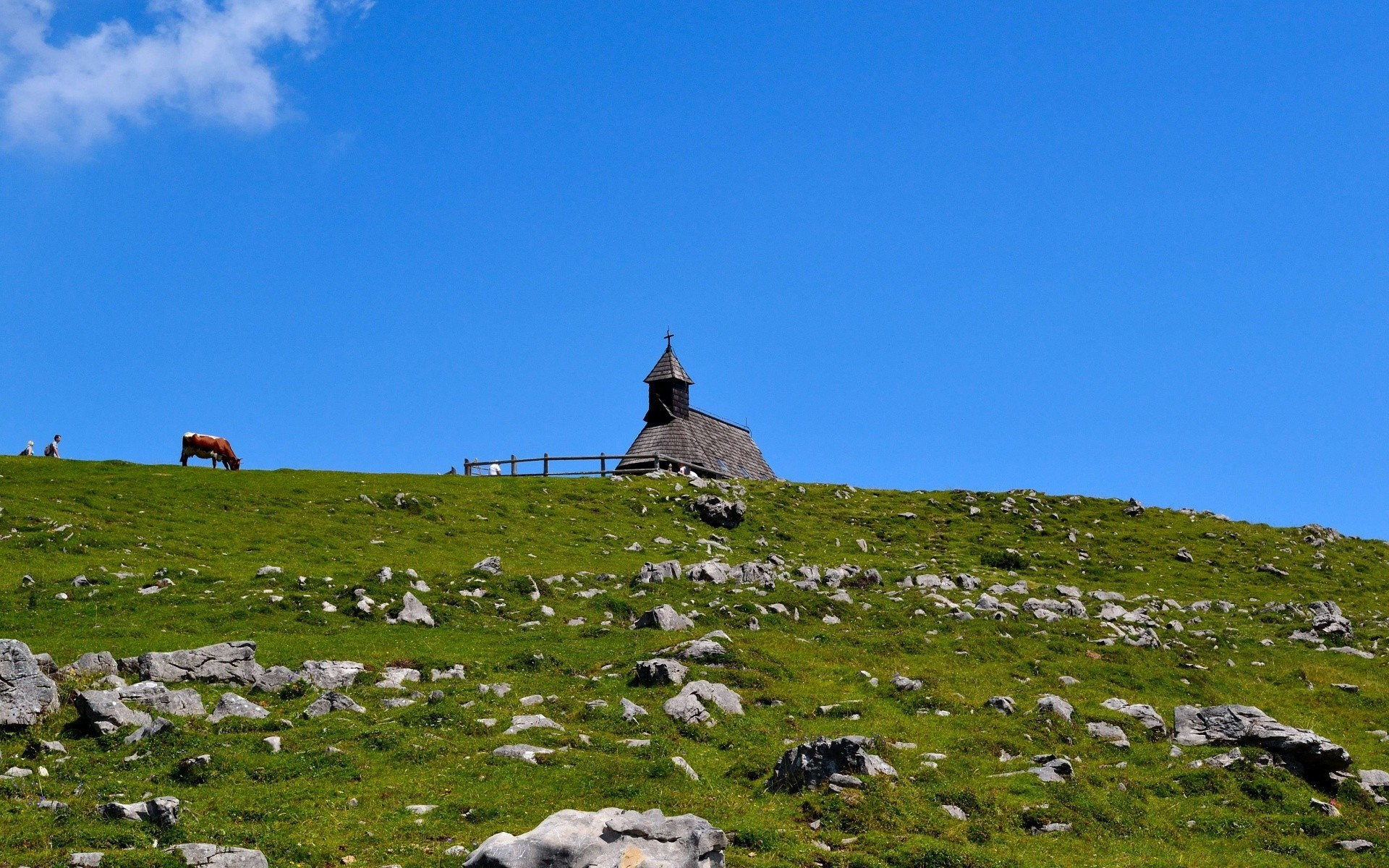 landschaft landschaft reisen im freien gras himmel schafe natur berge weiden sommer rock hügel tageslicht