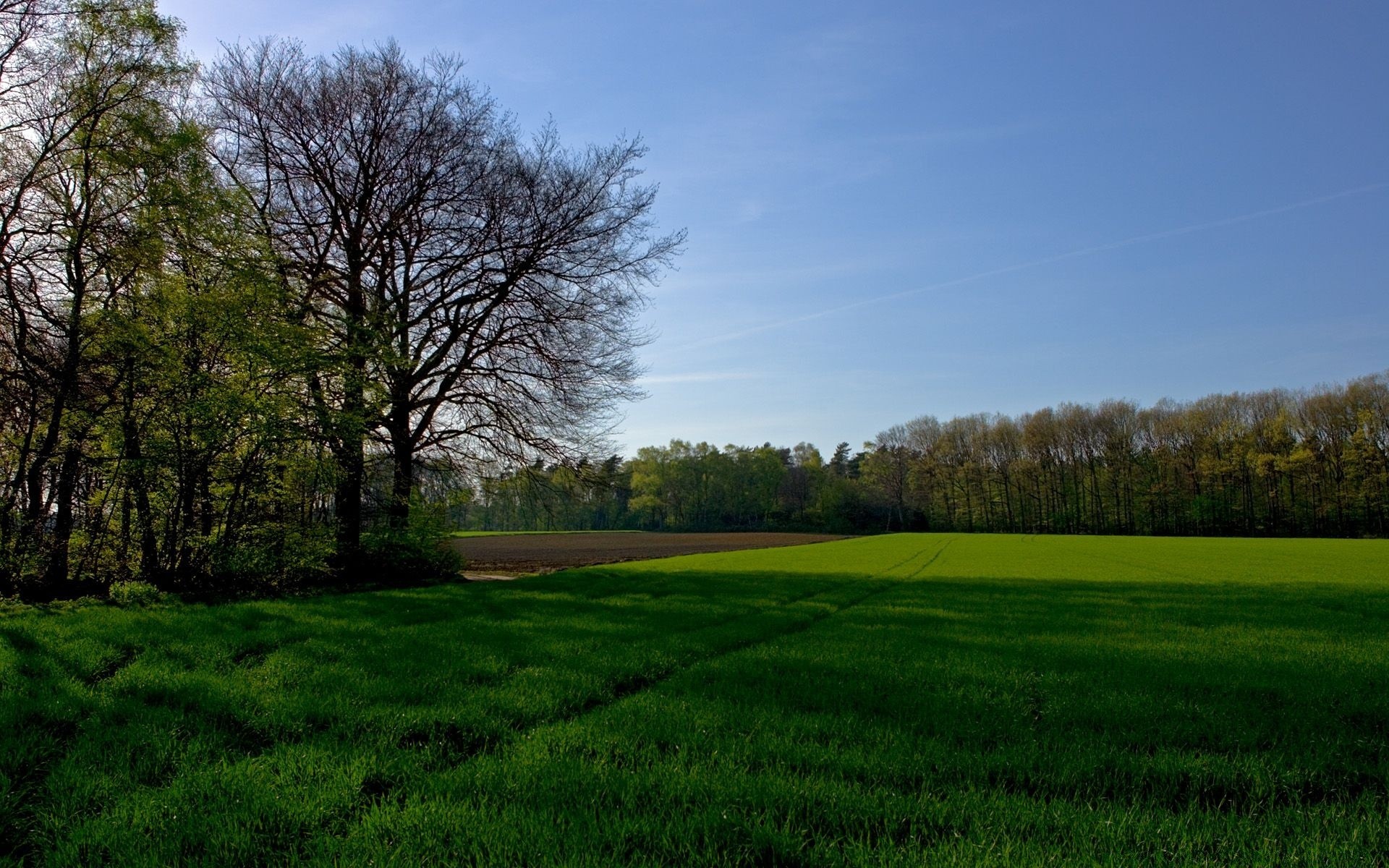 landschaft landschaft baum gras natur feld landschaft heuhaufen ländlichen im freien landwirtschaft himmel boden umwelt herbst holz land sommer