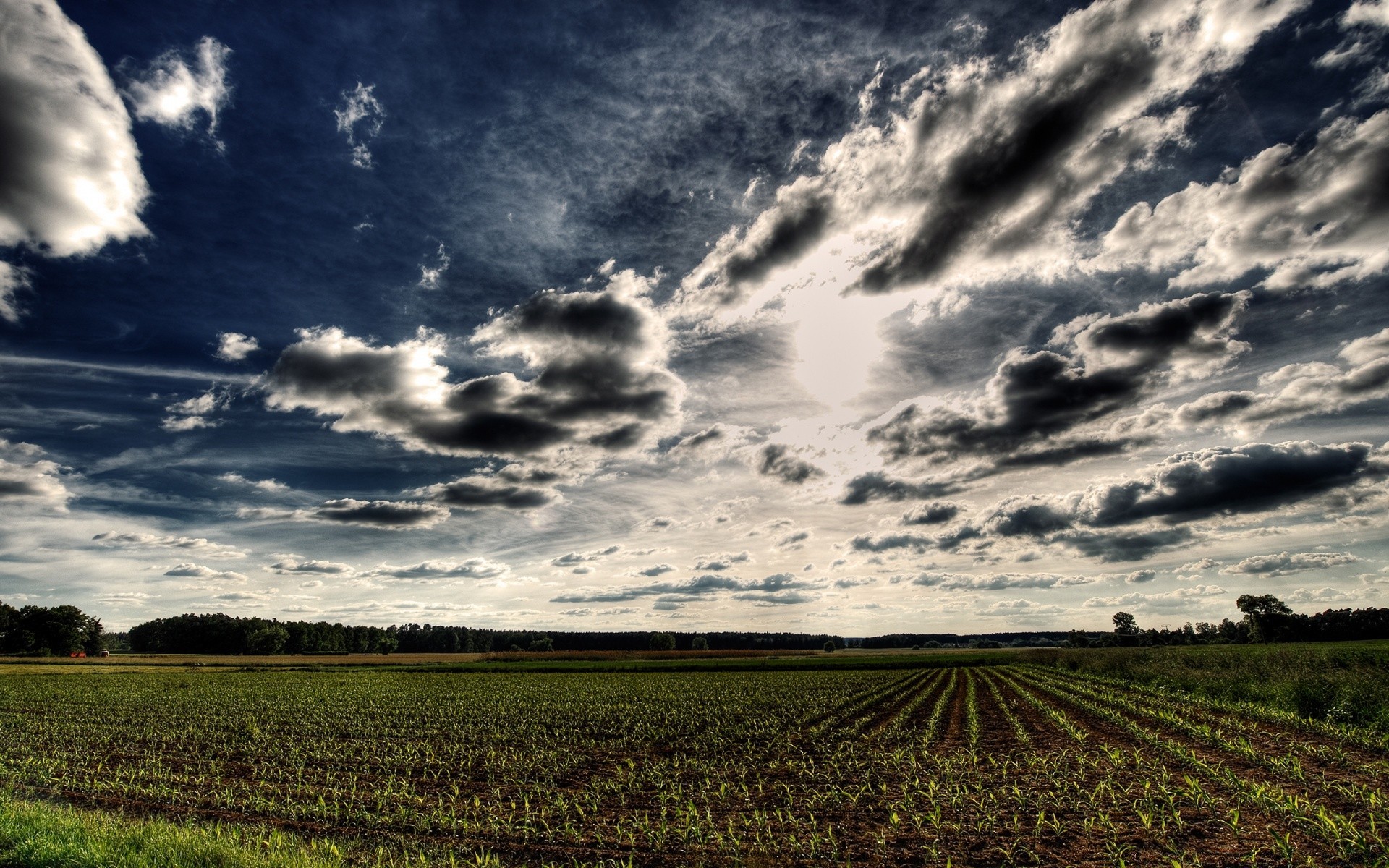 paysage paysage ciel nature agriculture champ ferme coucher de soleil tempête soleil rural campagne à l extérieur aube terres cultivées arbre sol beau temps pays lumière