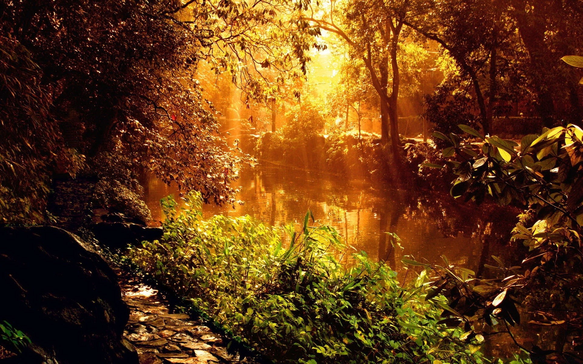 paisagens outono folha árvore madeira paisagem natureza parque névoa névoa ao ar livre amanhecer bom tempo cênica temporada ambiente